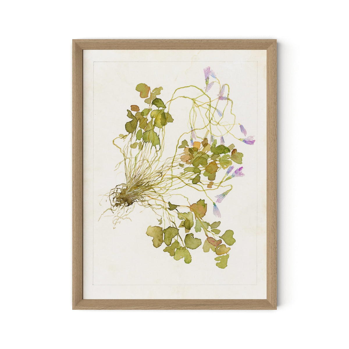 a picture of a plant