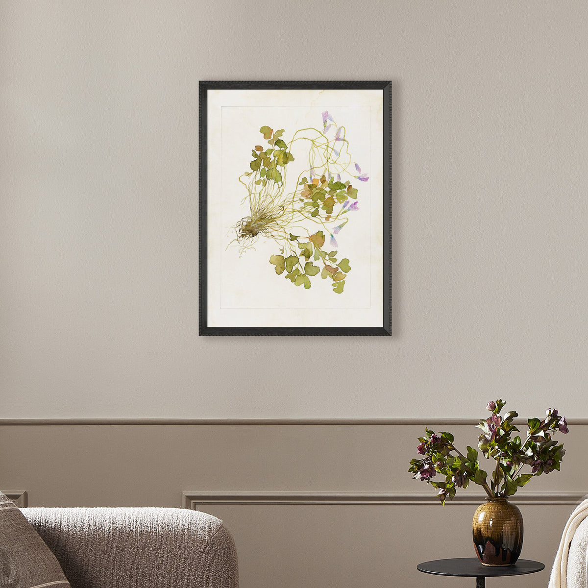 Oxalis Debilis No. 2 By Laurel-Dawn Latshaw
