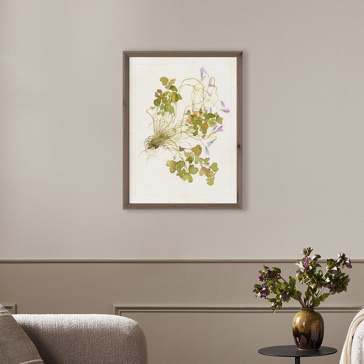 Oxalis Debilis No. 2 By Laurel-Dawn Latshaw