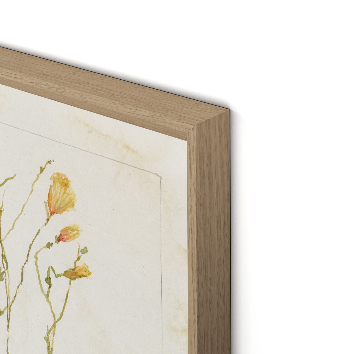 Papaveraceae No. 1 By Laurel-Dawn Latshaw - Four Hands (254407-003)