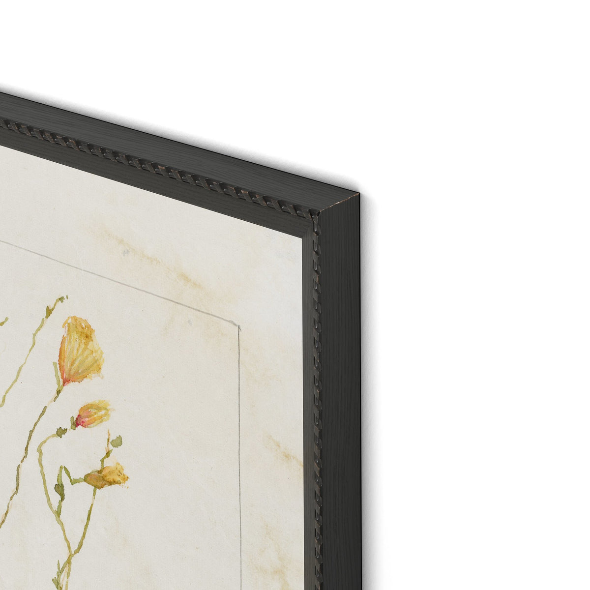 Papaveraceae No. 1 By Laurel-Dawn Latshaw - Four Hands (254407-003)