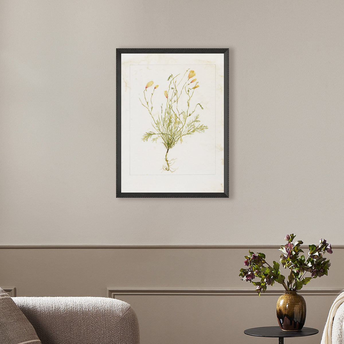 Papaveraceae No. 1 By Laurel-Dawn Latshaw