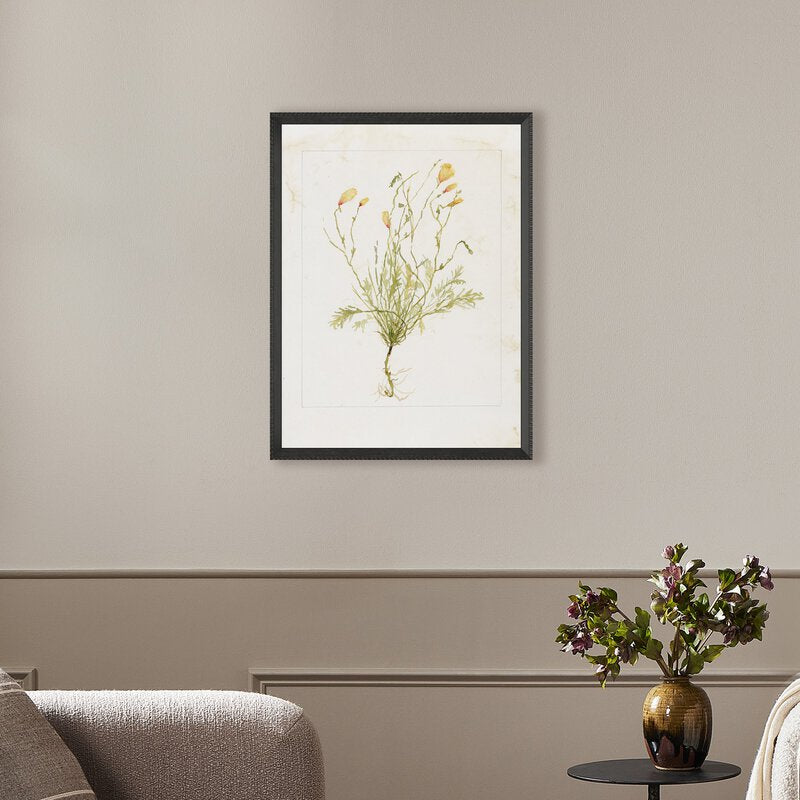 Papaveraceae No. 1 By Laurel-Dawn Latshaw