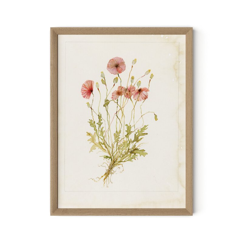 Papaveraceae No. 2 By Laurel-Dawn Latshaw