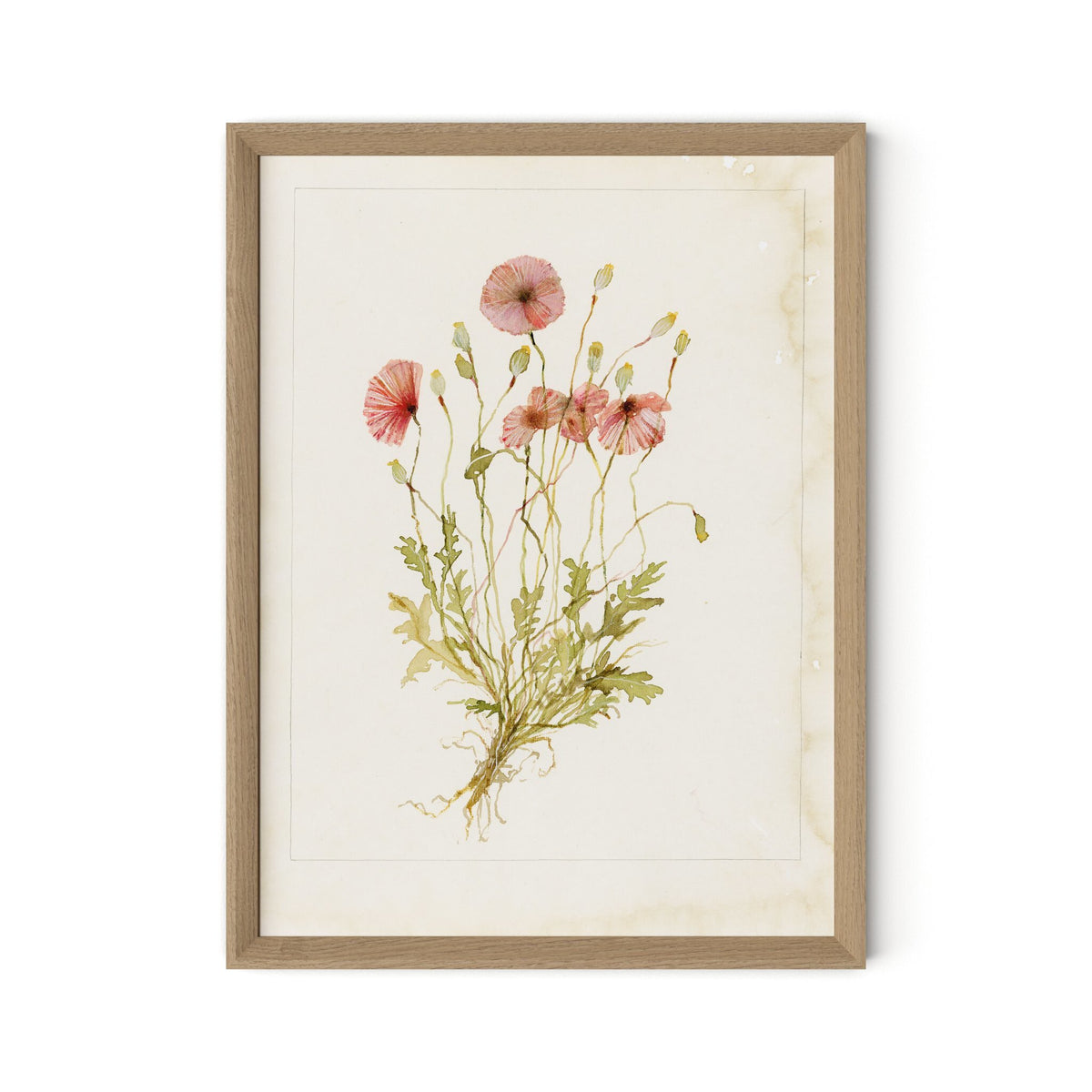 a picture of flowers in a frame