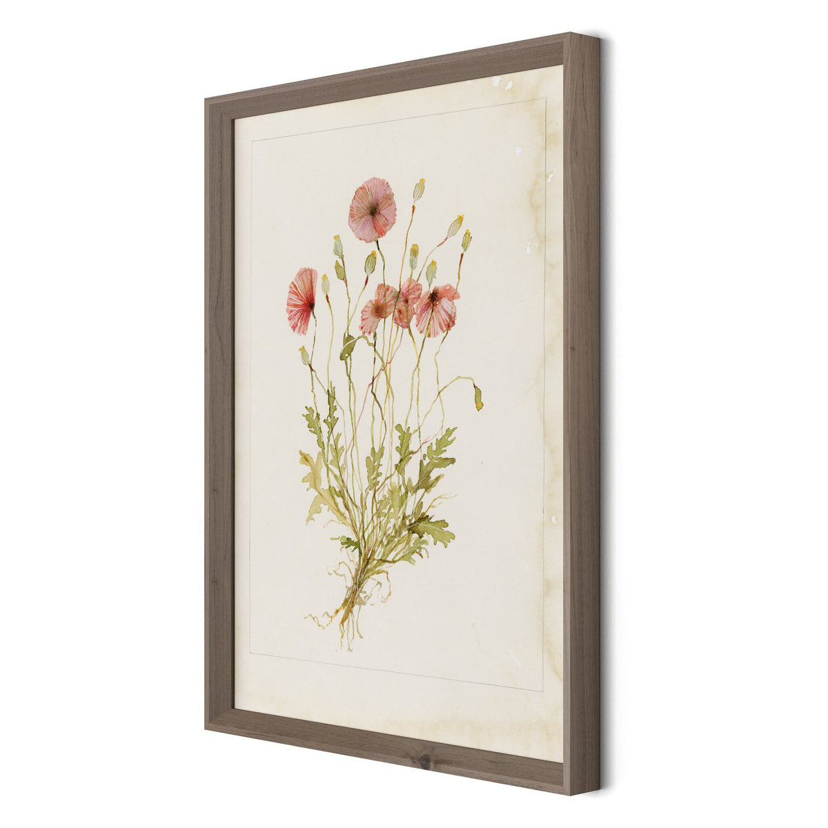 a picture of flowers in a frame