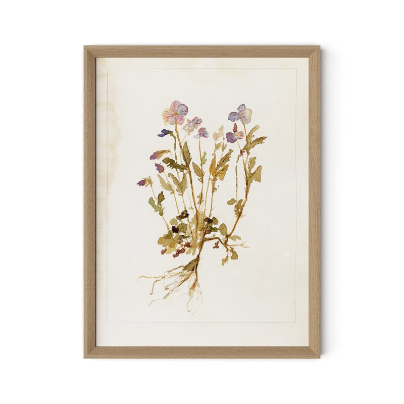 Viola No. 2 By Laurel-Dawn Latshaw