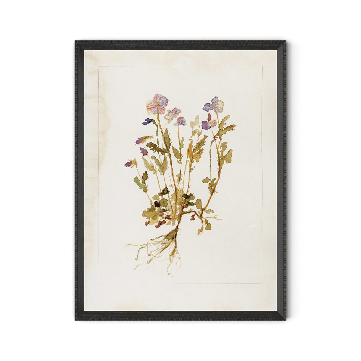 a framed picture of a plant
