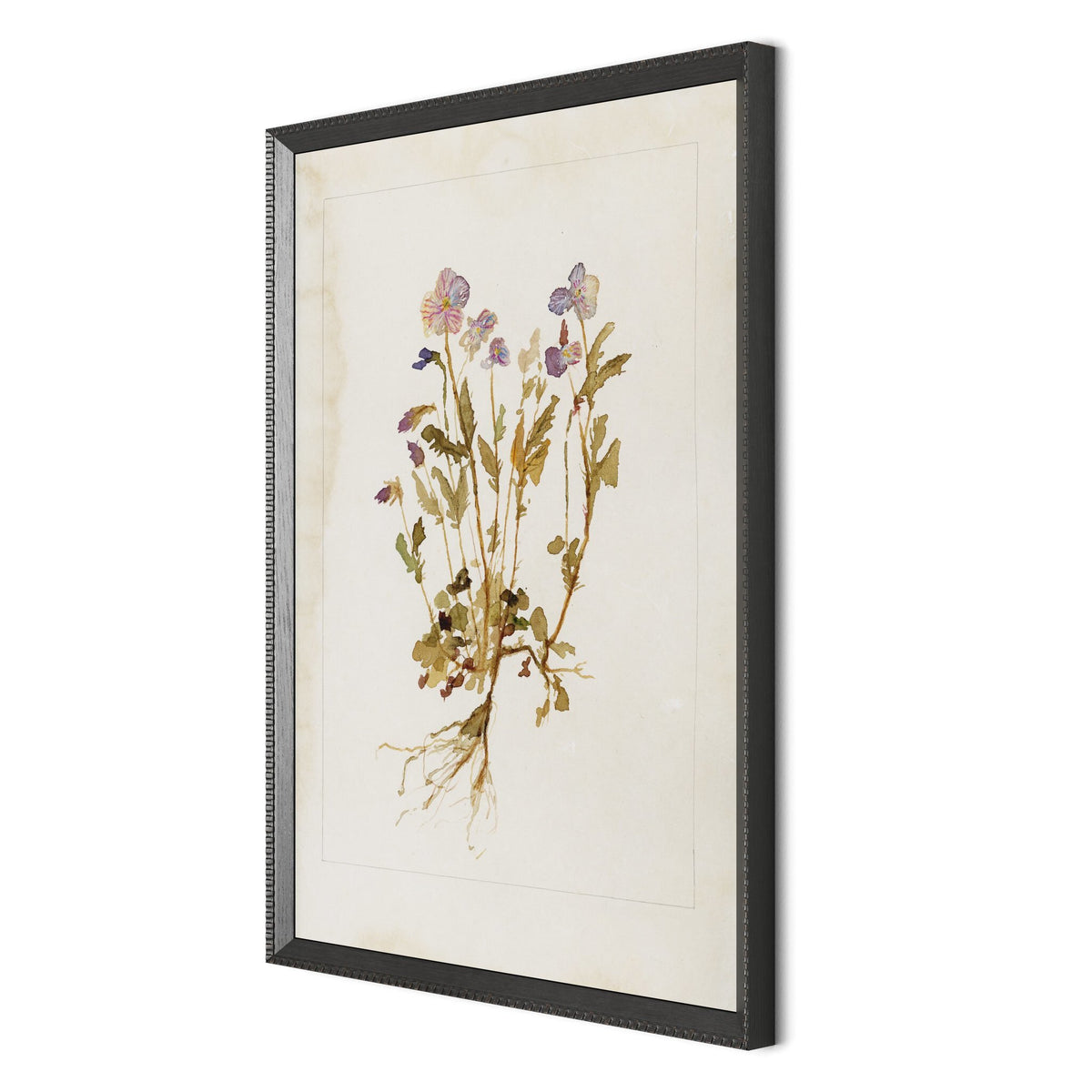 a framed picture of a plant