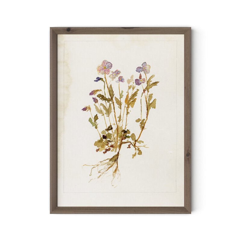 Viola No. 2 By Laurel-Dawn Latshaw