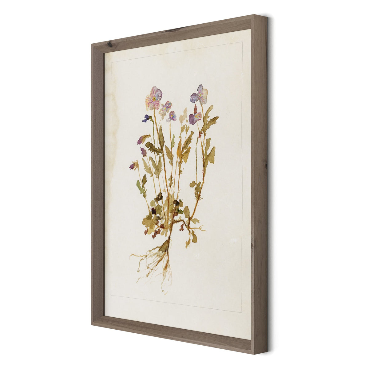 Viola No. 2 By Laurel-Dawn Latshaw