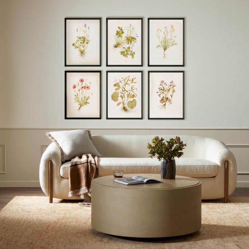 Herbarium Set By Laurel Dawn Latshaw