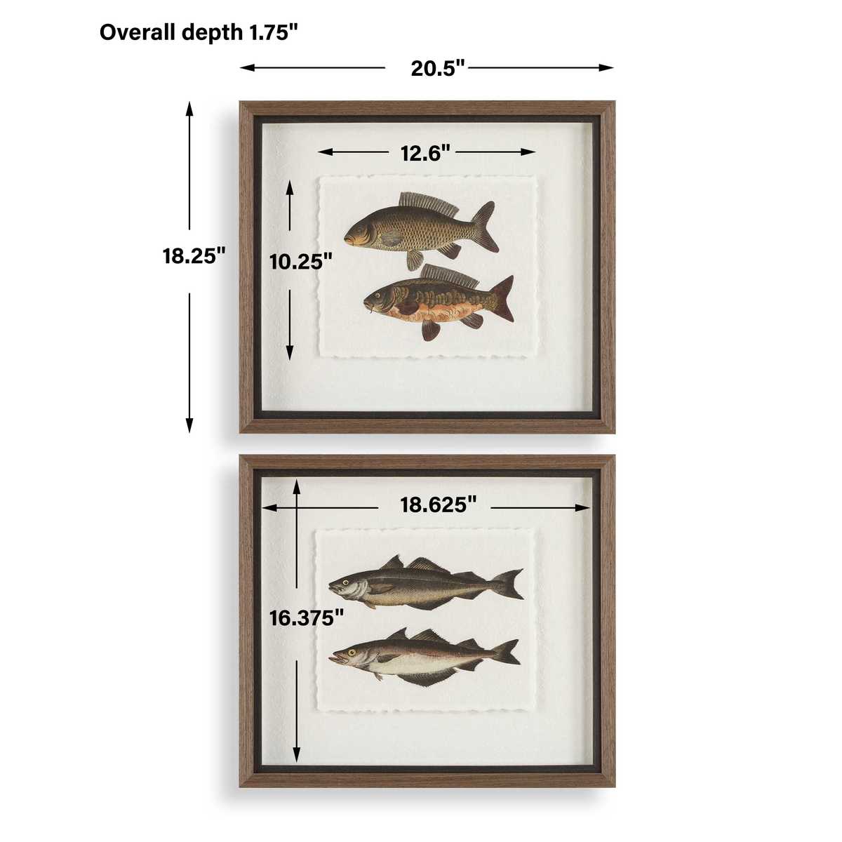 The Catch Framed Prints, S/2