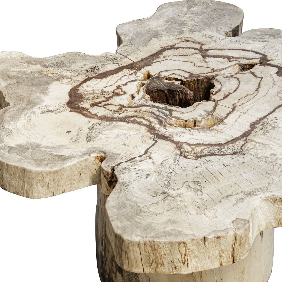 Anzalone Coffee Table