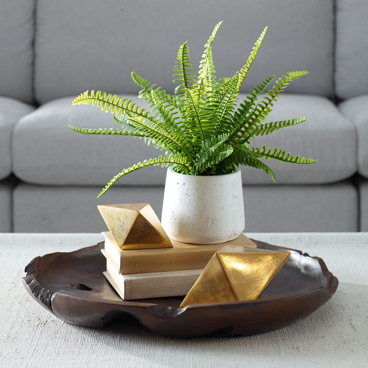 Boston Fern Accent