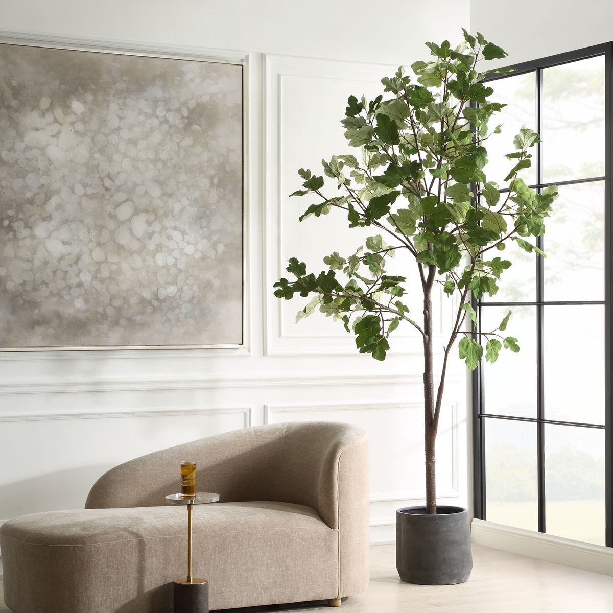 Eden Potted Fig Tree