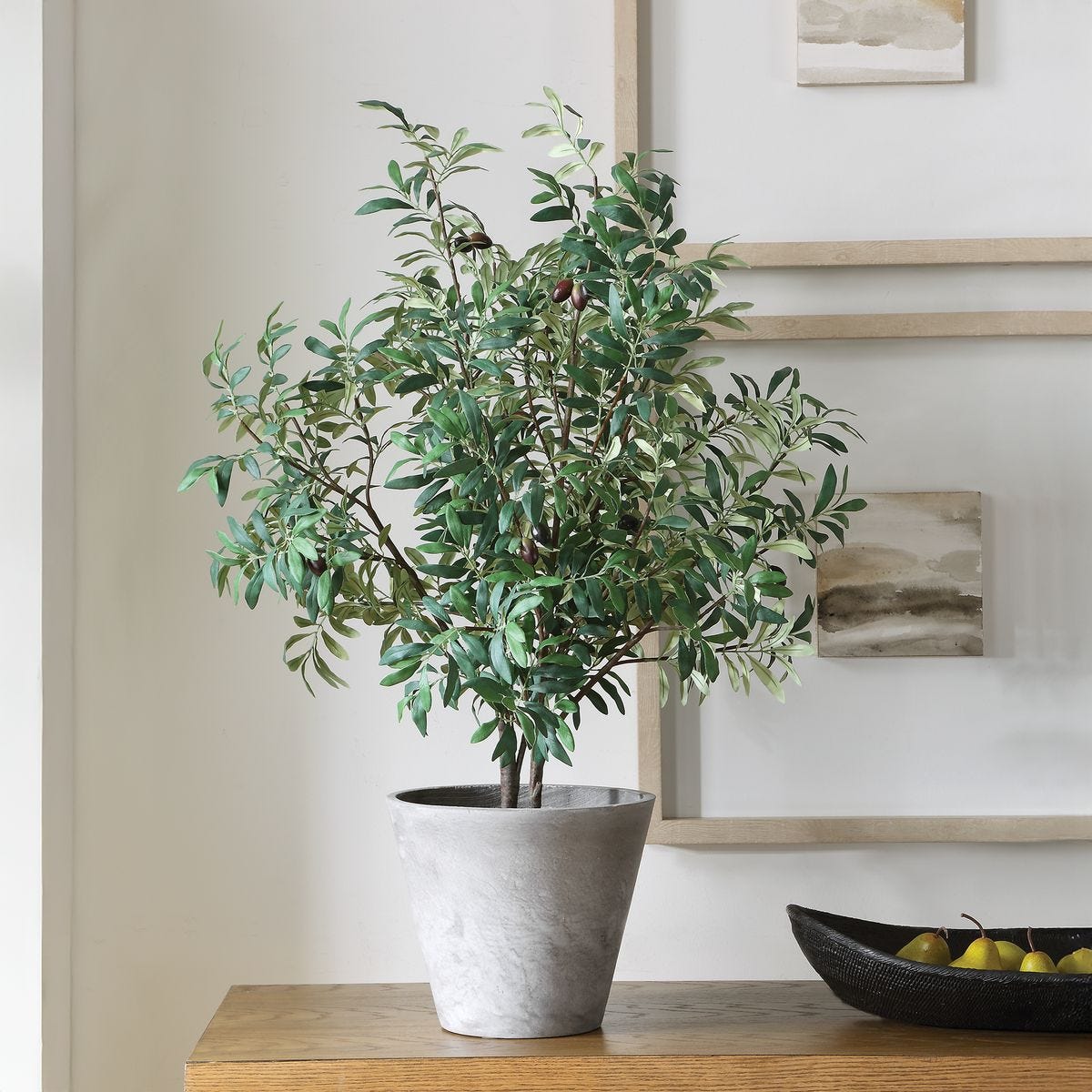 Marisol Potted Olive