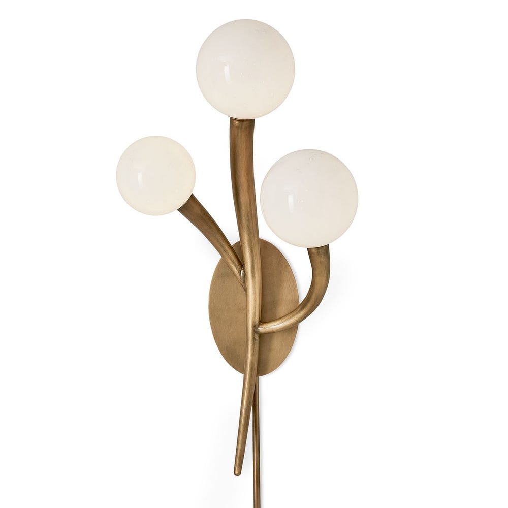 Cornet, 3 Lt Sconce - Left