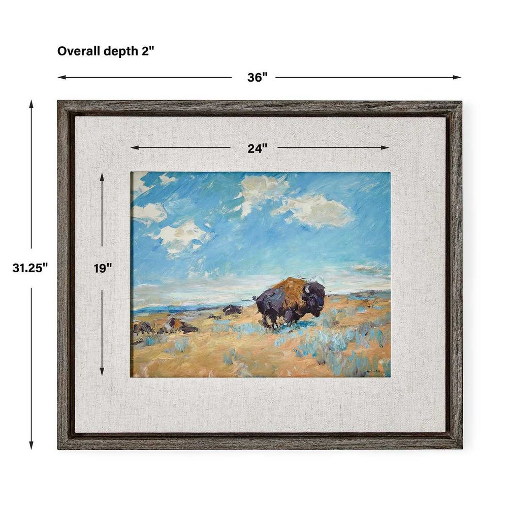 Buffalo Framed Canvas