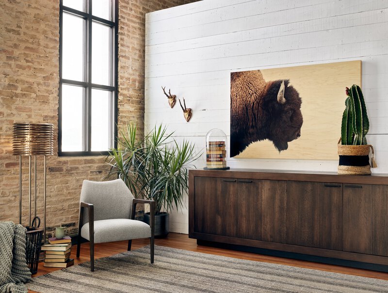 American Bison