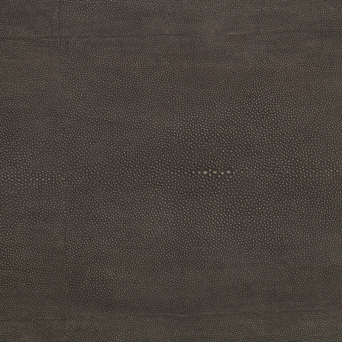 Shagreen Shadow Box Coffee Table