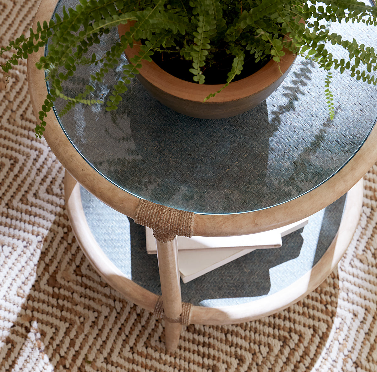 a plant on a table