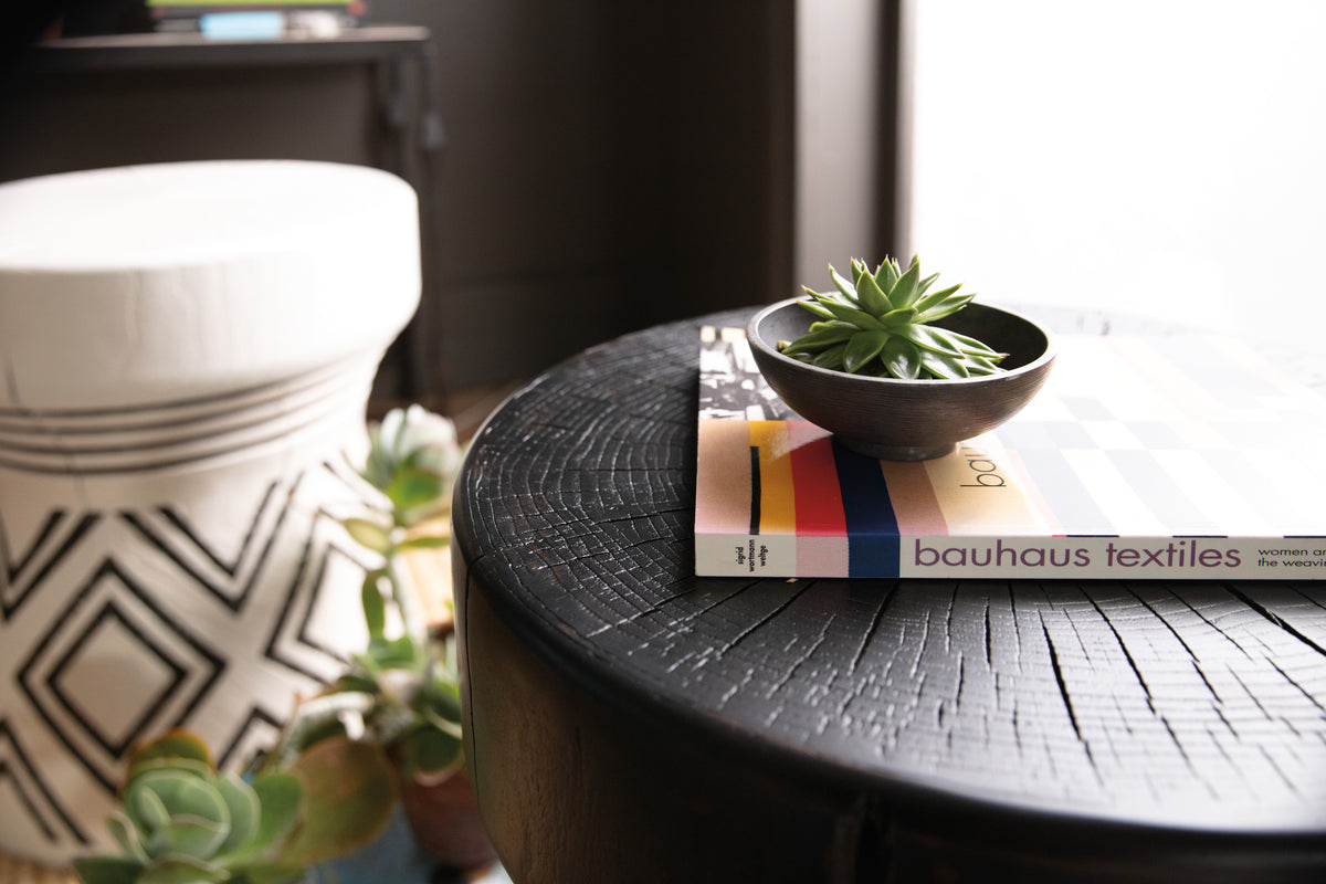 a small plant in a bowl on a book