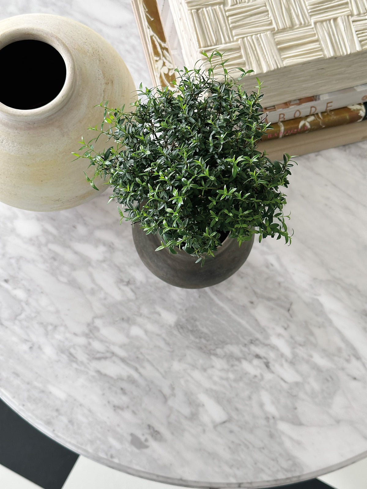 a potted plant in a vase next to a vase