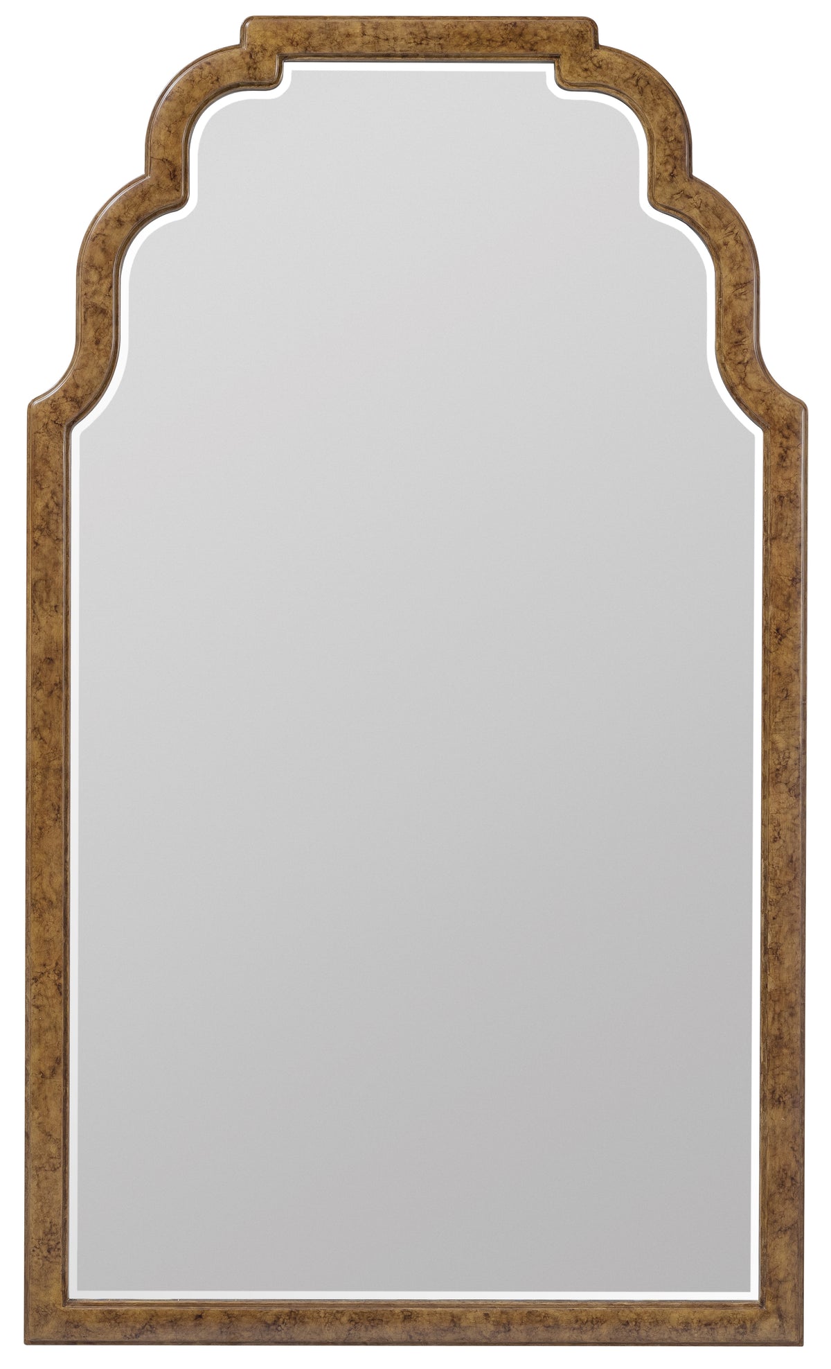 a mirror with a gold frame